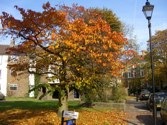 autumninlondon